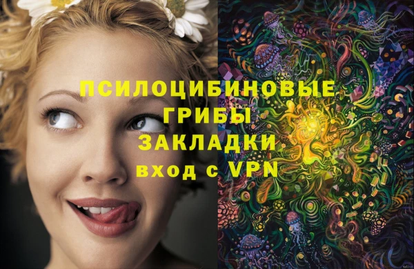 МДПВ Михайловск