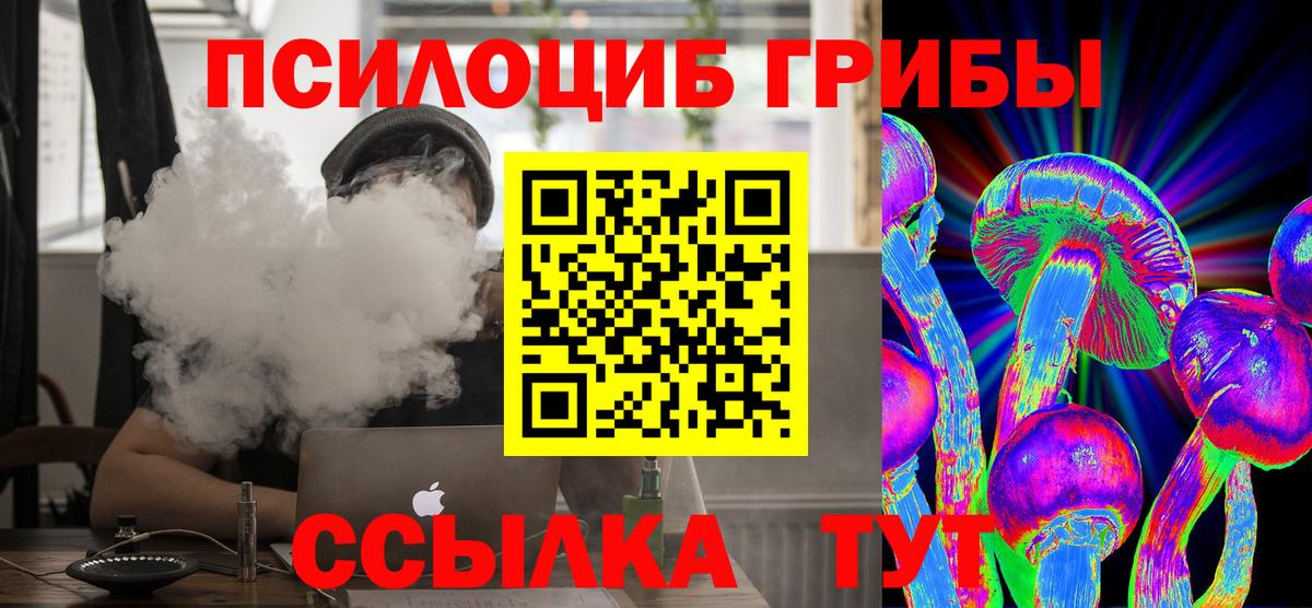 Псилоцибиновые грибы Psilocybine cubensis  Псилоцибиновые грибы GOLDEN TEACHER  Сердобск 