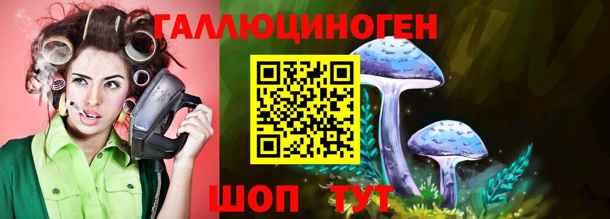 Галлюциногенные грибы GOLDEN TEACHER  Вход с VPN  Сердобск  купить наркоту  Галлюциногенные грибы Psilocybine cubensis 